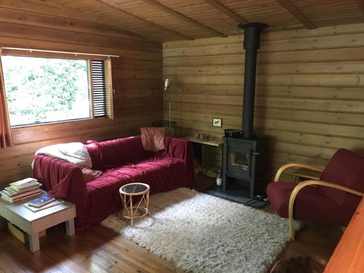 Fins Boshuis Villa Meppen Eksteriør bilde